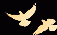 AI行业从业者认为